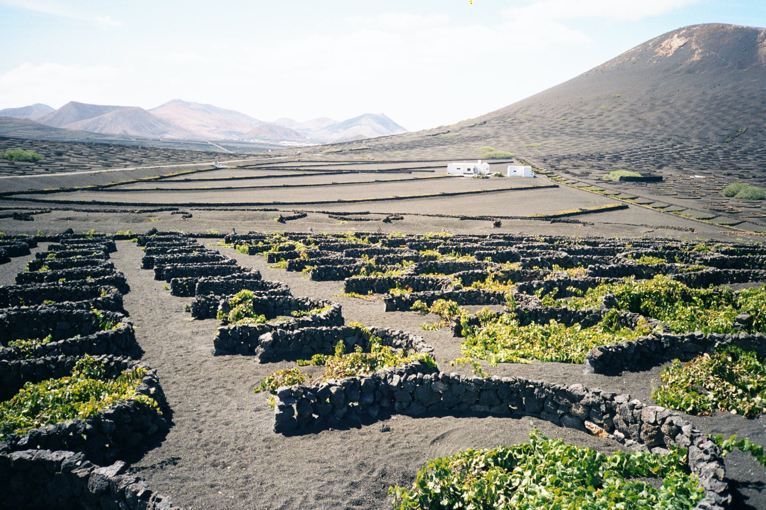 La Geria, Lanzarote — viñedos en ceniza volcánica